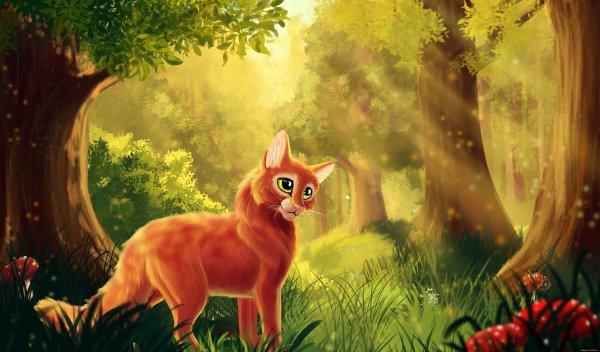 Рыжий кот арт коты Воители