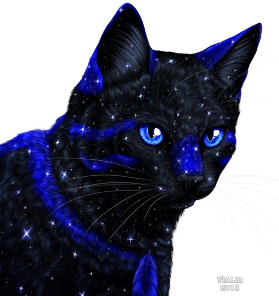 Коты Воители чёрная звезда