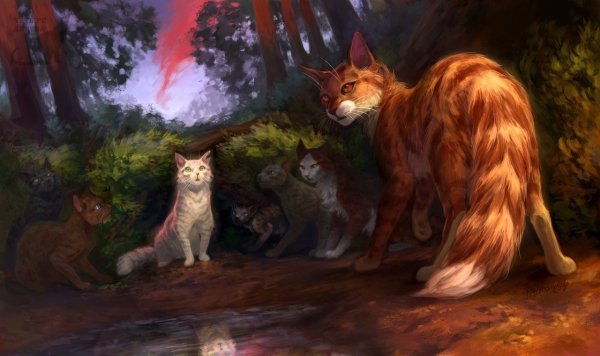Коты воители на фоне леса
