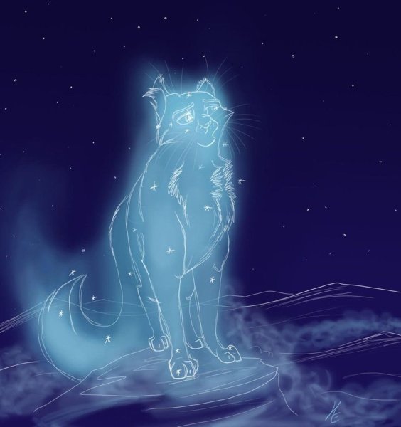 Коты Воители синяя звезда дух