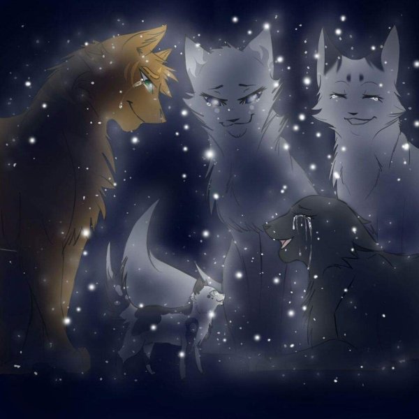 Коты Воители Огнезвёзд и синяя звезда