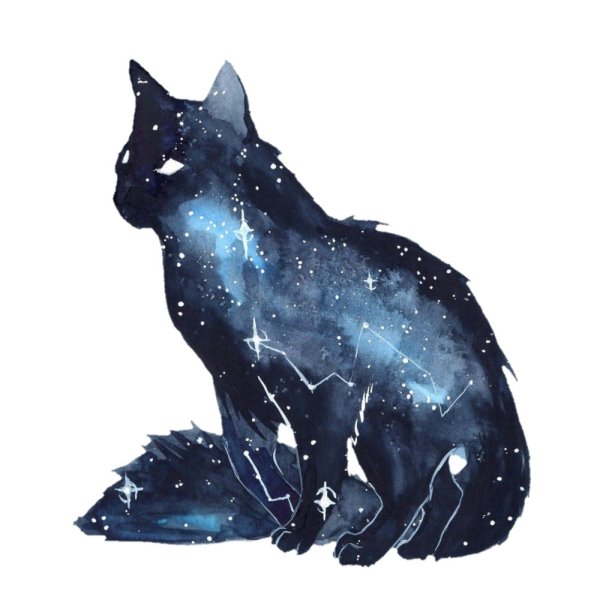 Коты Воители Космическая звезда