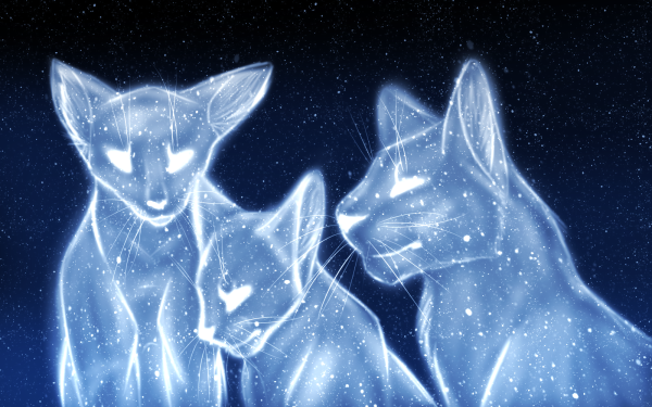Коты Воители Звёздные предки
