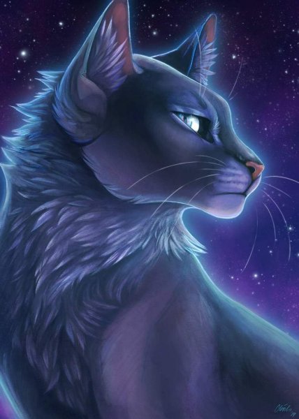Коты воители на фоне звезд