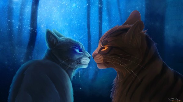 Коты Воители синяя звезда и Огнезвезд