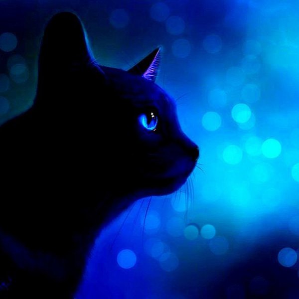 Черная синяя звезда коты Воители