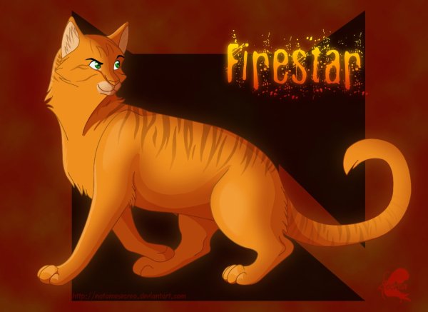 Коты Воители огне звесд