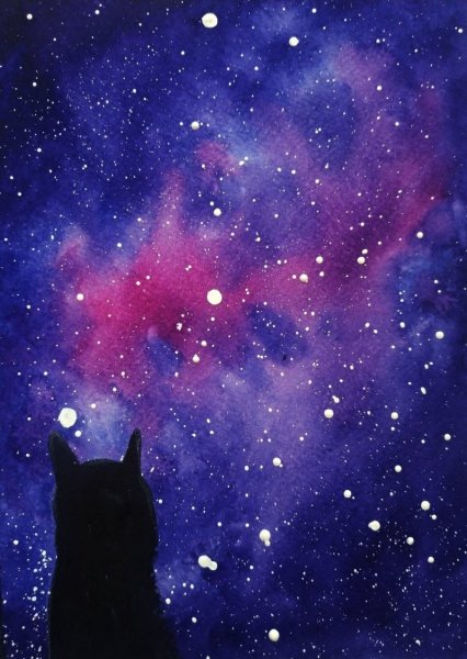 Котята на фоне космоса