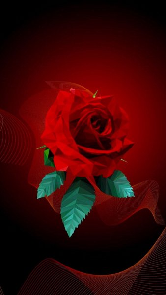 Красная роза на Красном фоне