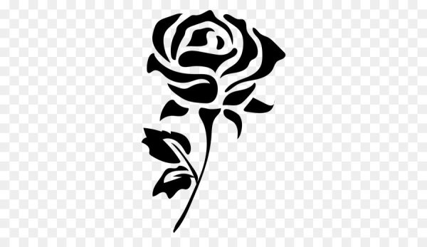 Красивая нарисованная роза на белом фоне