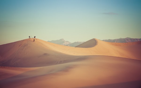 Красивая пустыня на фоне гор