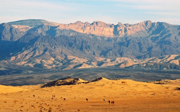 Равнины Марокко