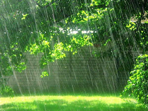 Природные явления дождь