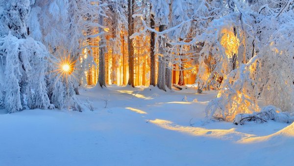 Красивые фоны природа зима