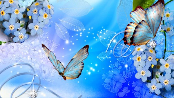 Красивые фоны с бабочками для открыток