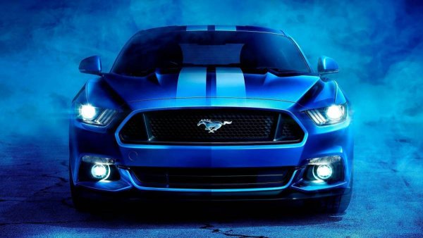 Ford Mustang Shelby gt500 Neon