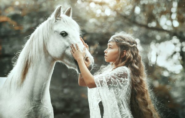 Красивая лошадь обои