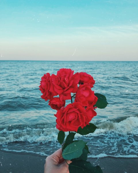 Букет цветов и море
