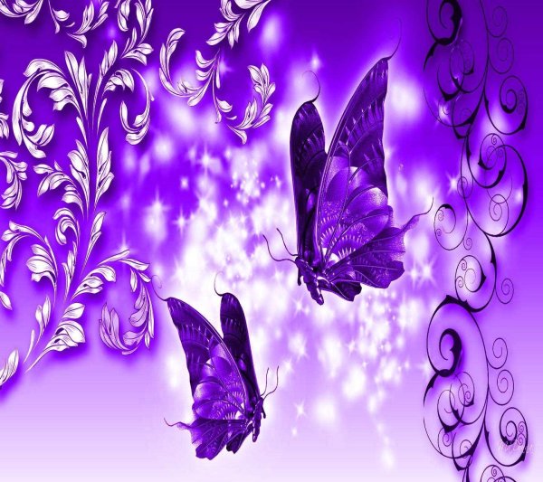 Красивый фиолетовый фон с бабочками