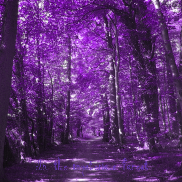 Красивый фон фиолетовый лес