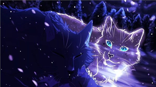 Коты Воители синяя звезда