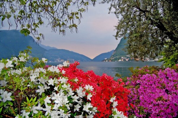 Цветущий Сьон, Швейцария