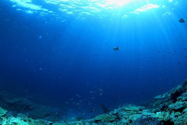 Глубина Тихого океана