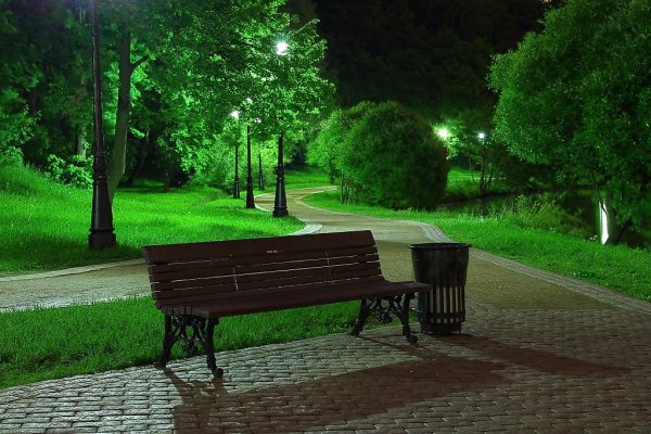 Красивый фон ночью в парке