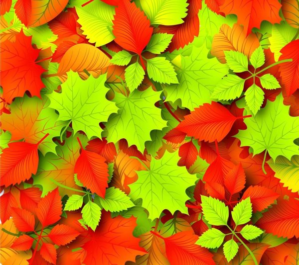 Красивый фон осенние листья