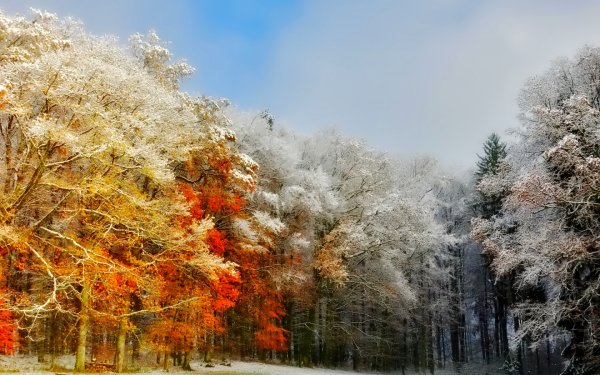 Осень снег