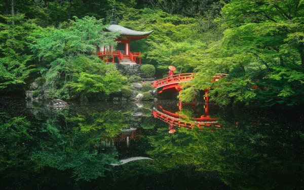 Красивый фон природа японии