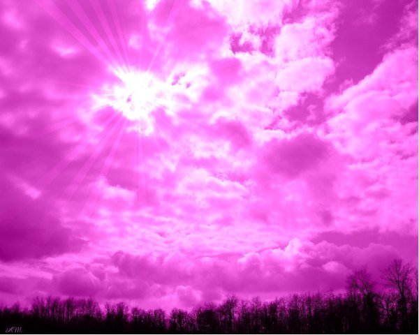 Красивый фон розового неба