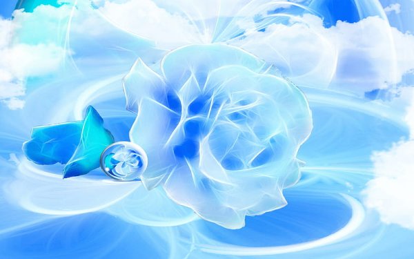Голубые розы на голубом фоне