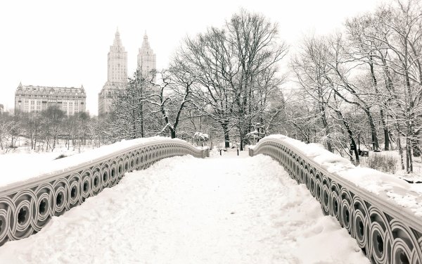Центральный парк Нью-Йорк зимой
