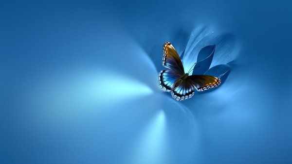 Красивый голубой фон с бабочками