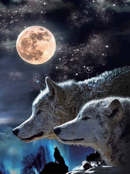 Красивый волк на фоне луны