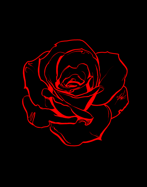 Красная роза НАЧОРНОМ фонде