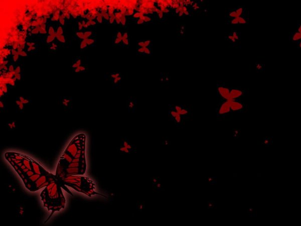 Черно красная бабочка