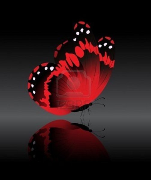 Черно красная бабочка