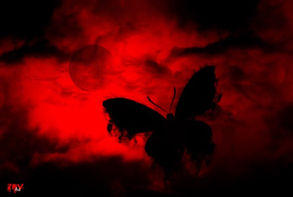 Красно черных бабочек