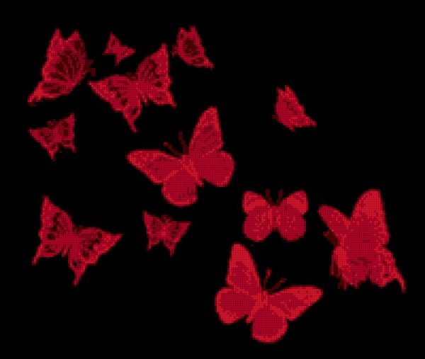 Красная бабочка на черном фоне