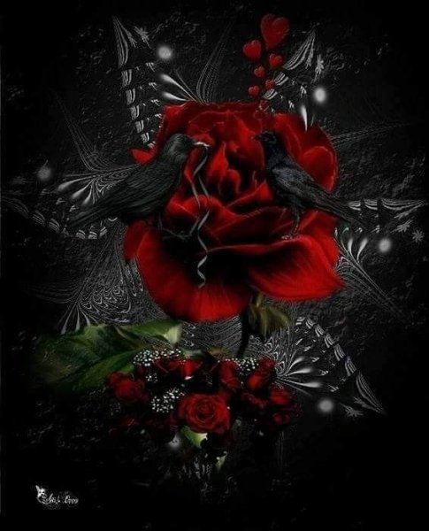 Красные розы на черном фоне арт