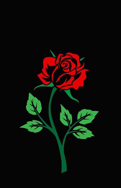 Роза на черном фоне рисунок