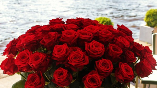 Шикарный букет красных роз