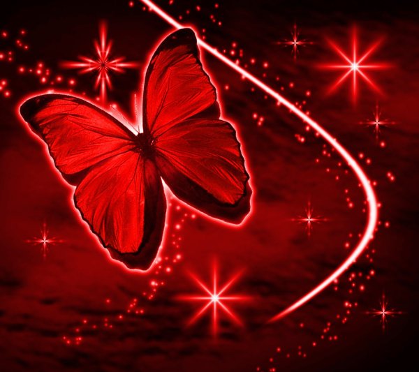 Красный фон с бабочками