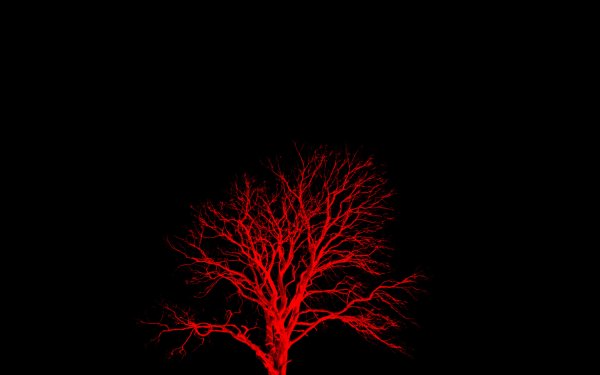 Красное дерево на белом фоне