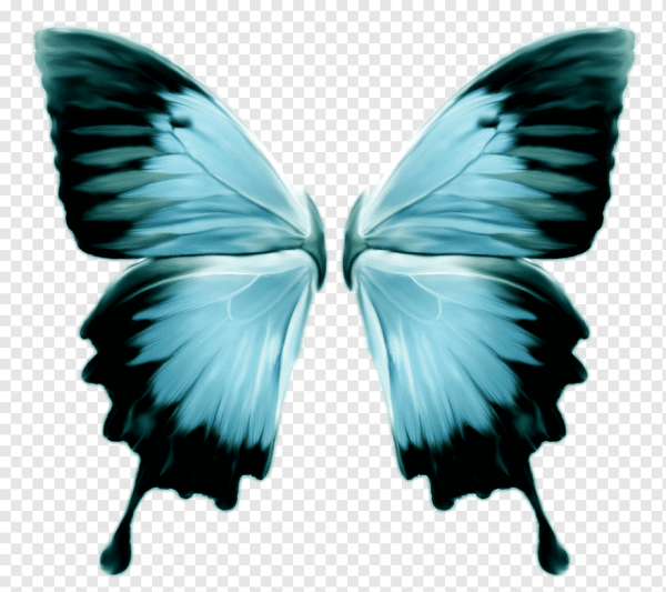Крылья бабочки для фотошопа
