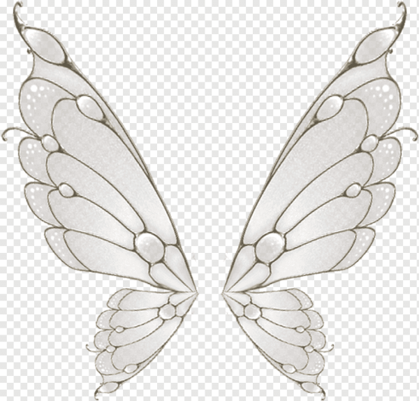 Крылья феи прозрачные