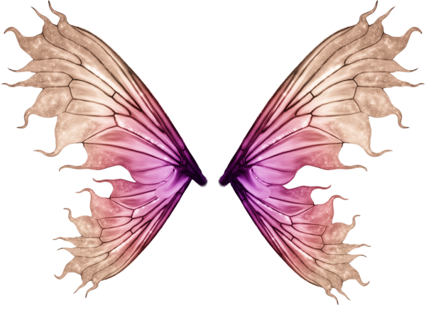 Крылья бабочки на прозрачном фоне