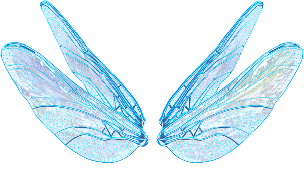 Прозрачные Крылья